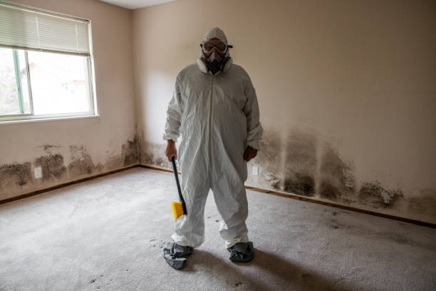 Best Residential Mold Inspection & Testing  in Holiday, FL